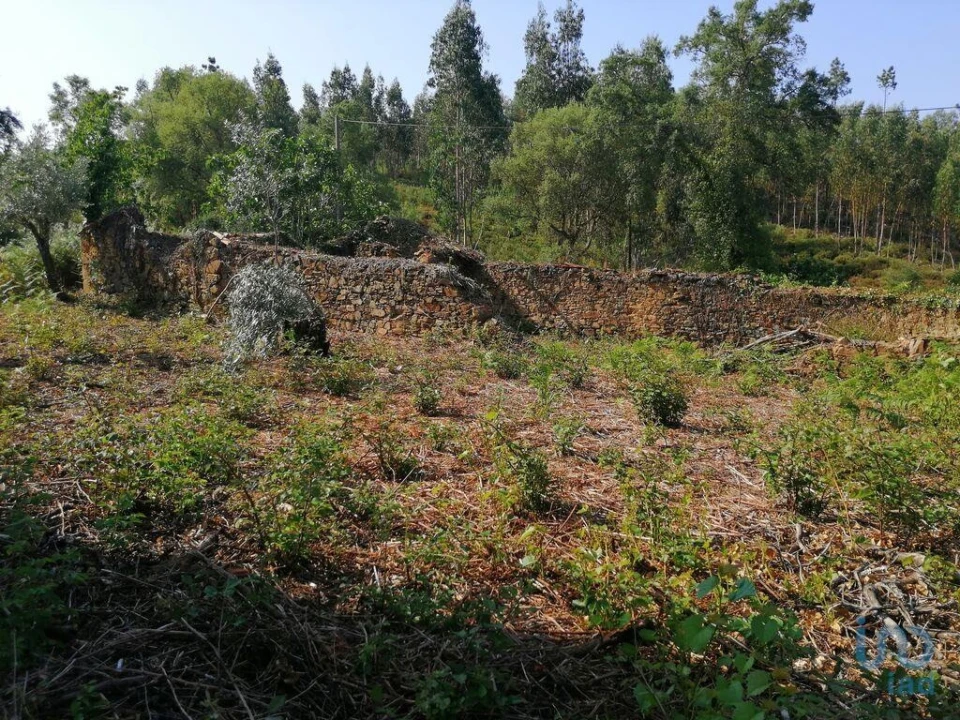 Moradia para Venda em Graça Foto 4