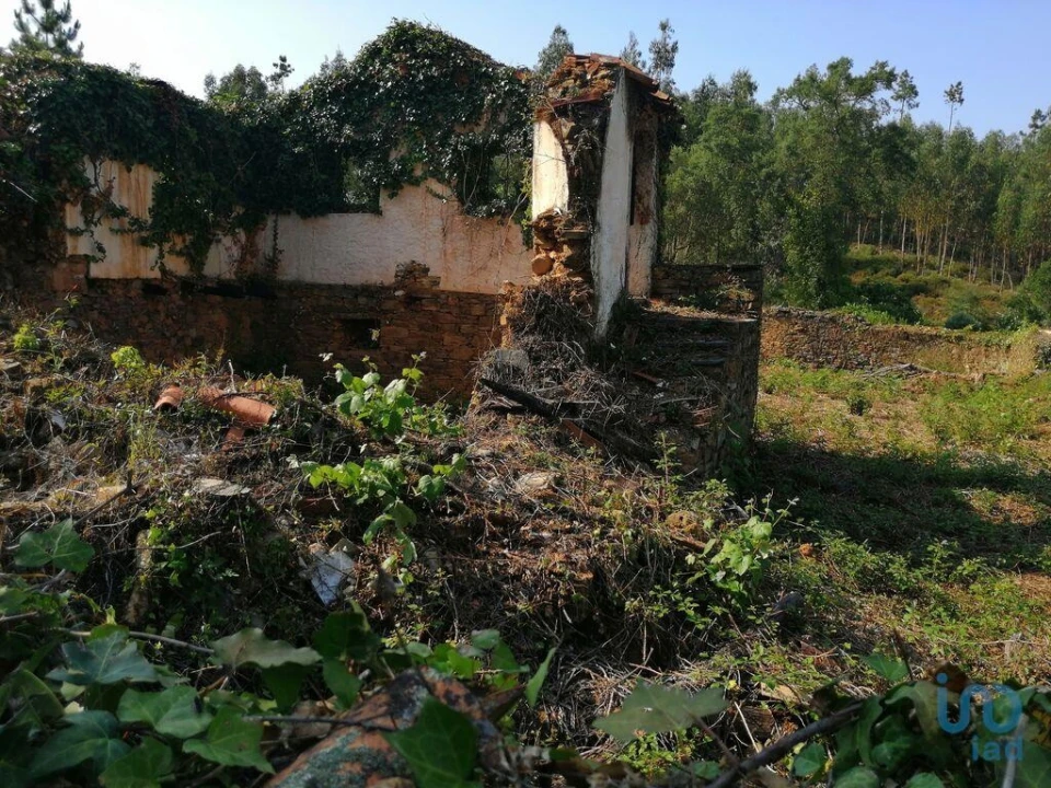 Moradia para Venda em Graça Foto 8