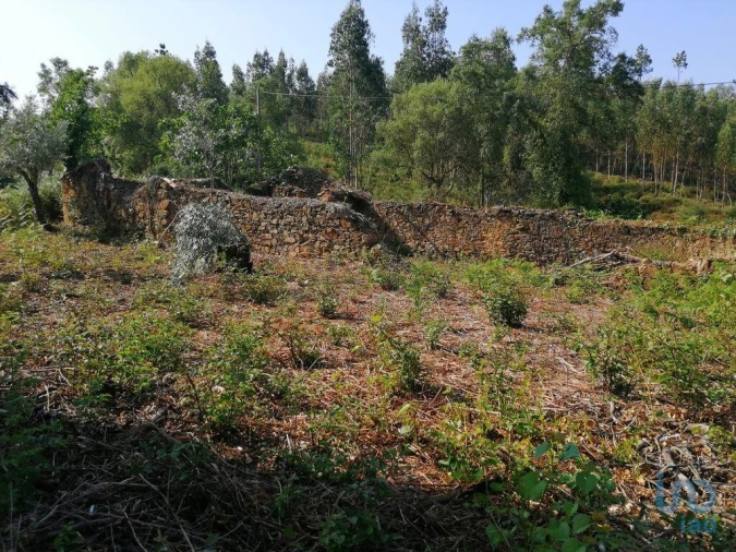 Moradia para Venda em Graça Foto 4