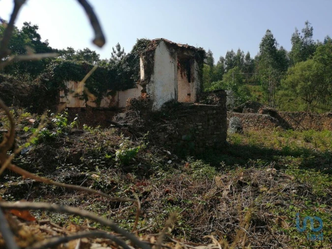 Moradia para Venda em Graça Foto 6