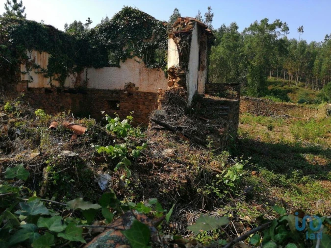 Moradia para Venda em Graça Foto 8