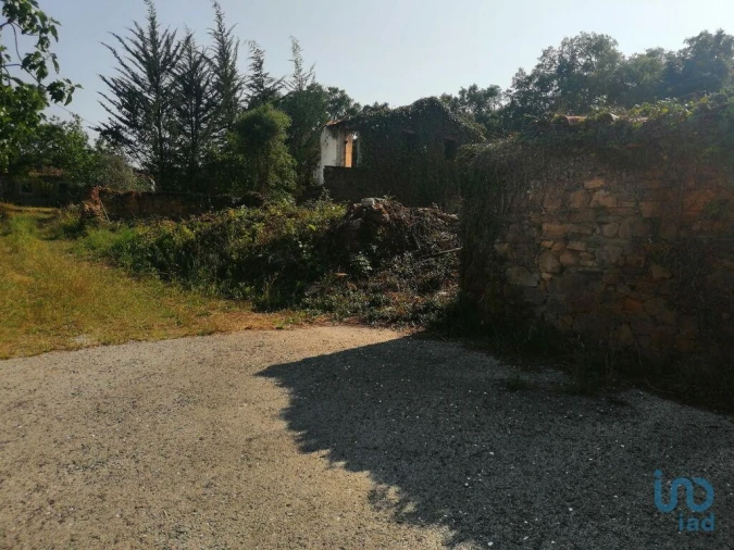 Moradia para Venda em Graça Foto 3