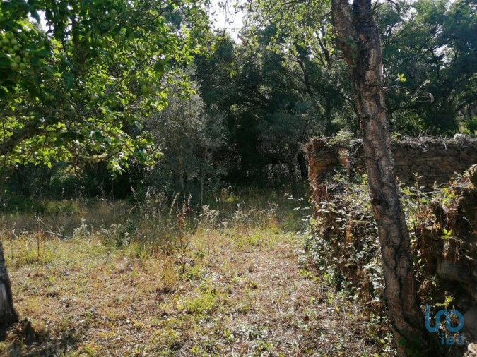 Moradia para Venda em Graça Foto 7