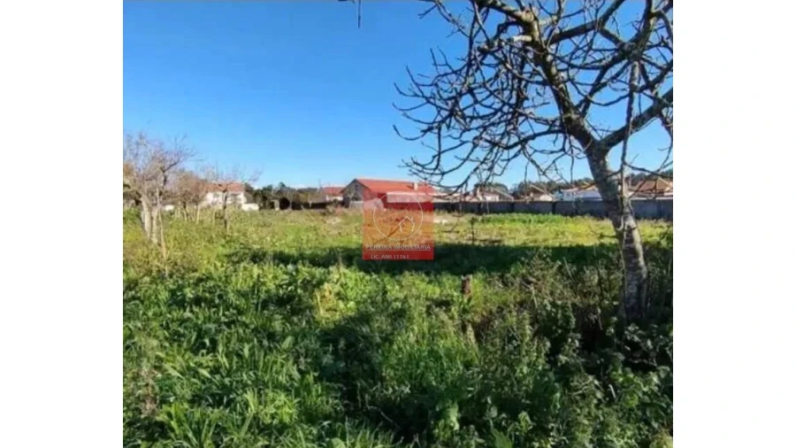 Terreno para Venda em Apúlia e Fão Foto 6