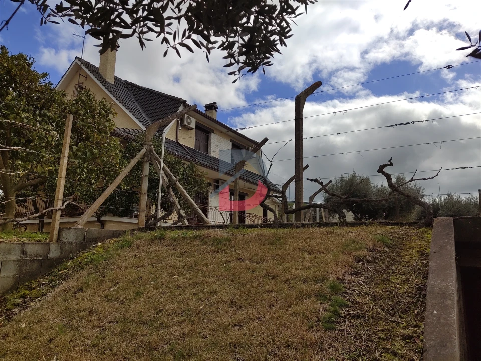 Quinta T5 para Venda em Castelo Branco Foto 27