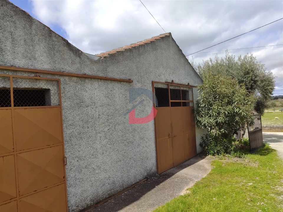 Quinta T5 para Venda em Castelo Branco Foto 23