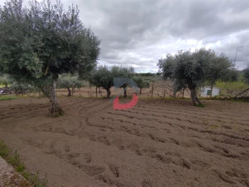Quinta T5 para Venda em Castelo Branco