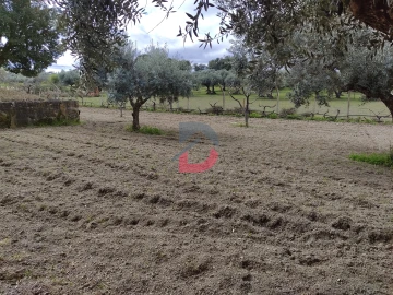 Quinta T5 para Venda em Castelo Branco