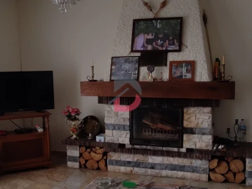Quinta T5 para Venda em Castelo Branco