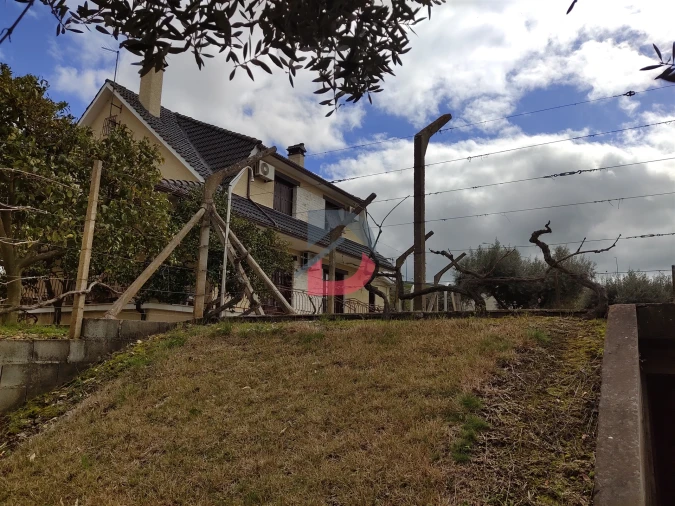 Quinta T5 para Venda em Castelo Branco Foto 27