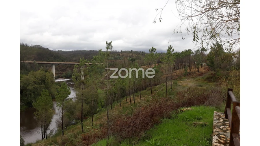Terreno para Venda em Côja e Barril de Alva Foto 2