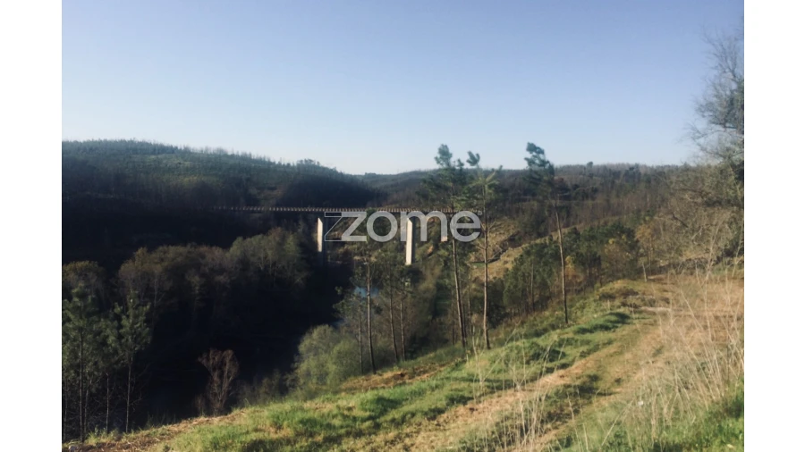 Terreno para Venda em Côja e Barril de Alva Foto 14