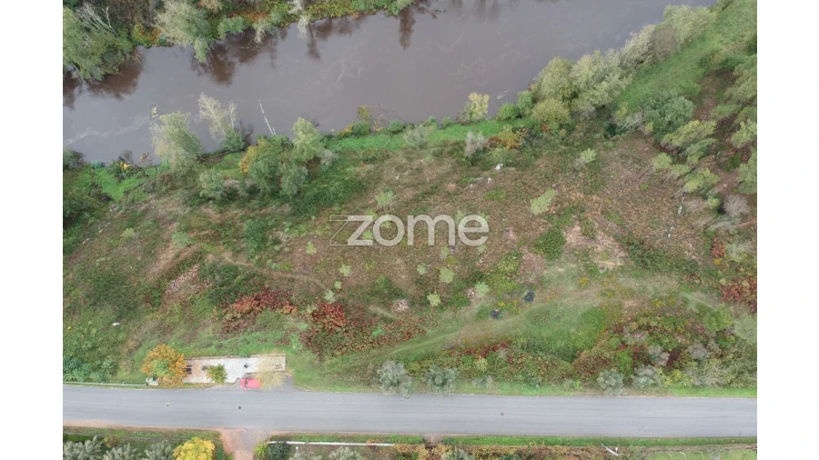 Terreno para Venda em Côja e Barril de Alva Foto 8