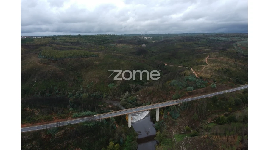 Terreno para Venda em Côja e Barril de Alva Foto 9