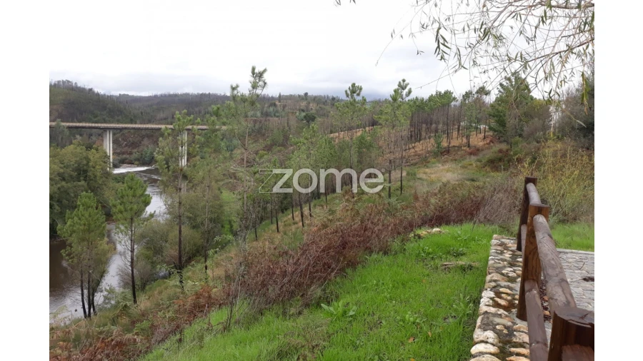 Terreno para Venda em Côja e Barril de Alva Foto 5