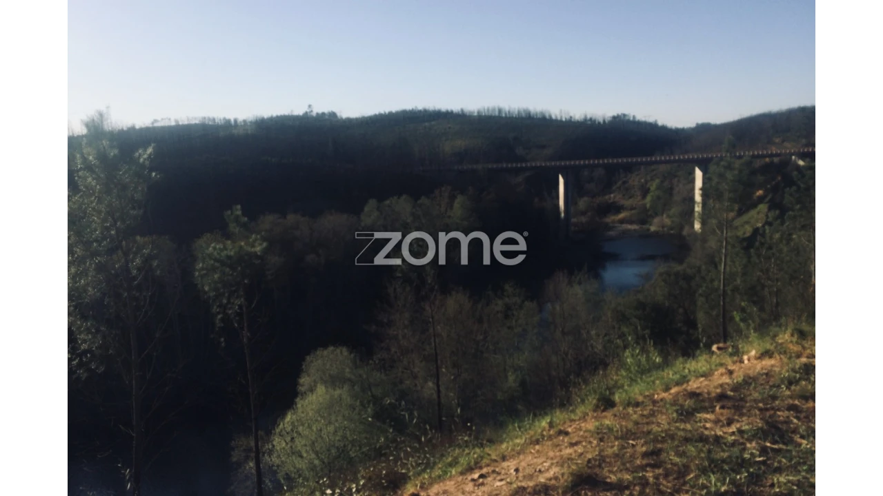 Terreno para Venda em Côja e Barril de Alva Foto 18