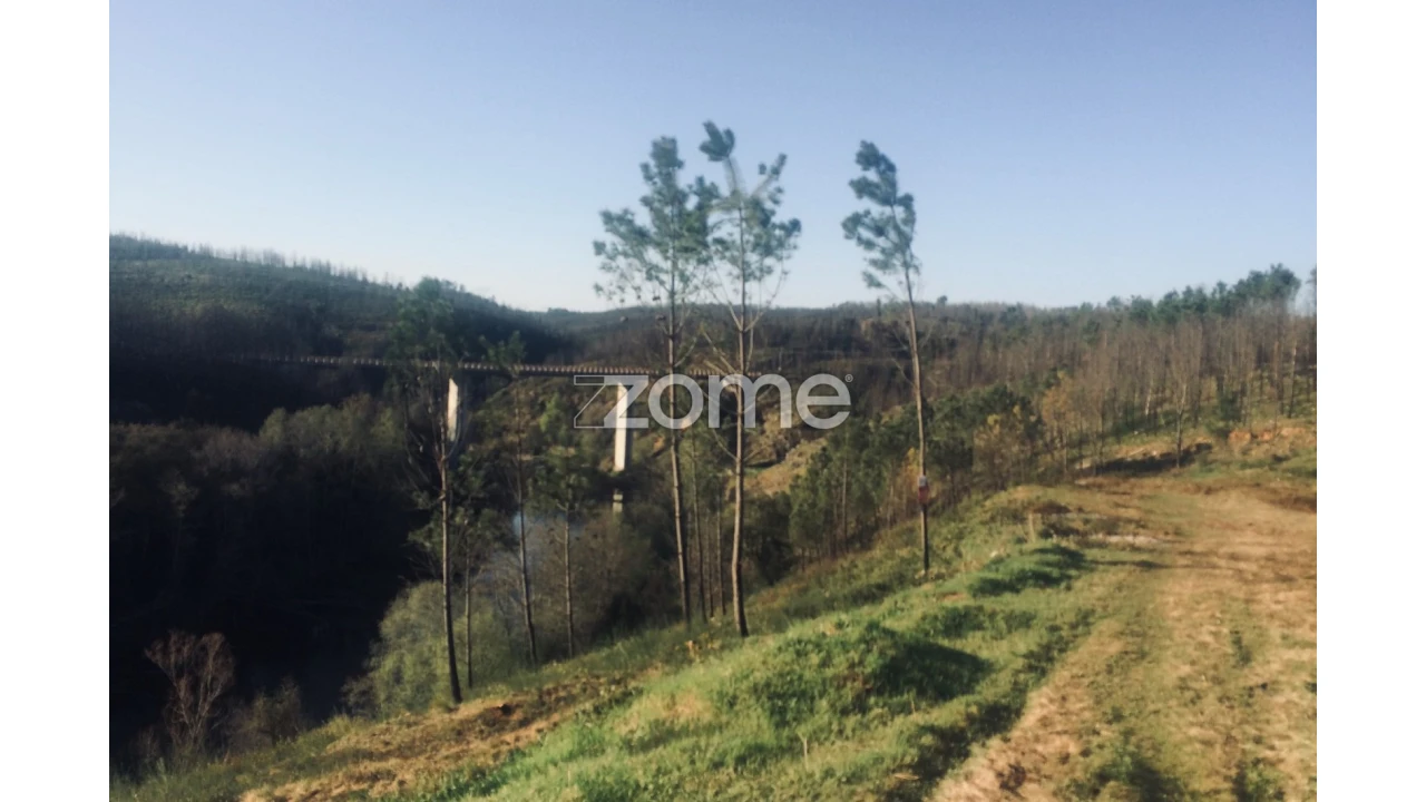 Terreno para Venda em Côja e Barril de Alva Foto 19