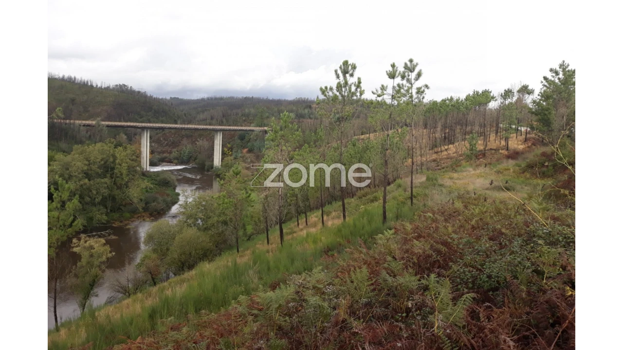 Terreno para Venda em Côja e Barril de Alva Foto 3