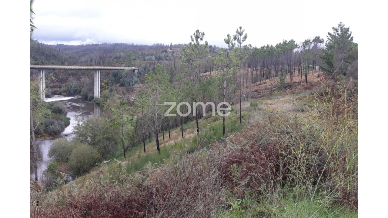Terreno para Venda em Côja e Barril de Alva Foto 6
