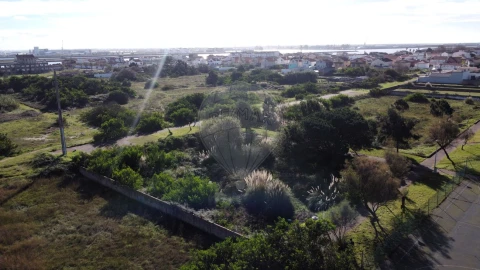 Terreno para Venda em São Jacinto