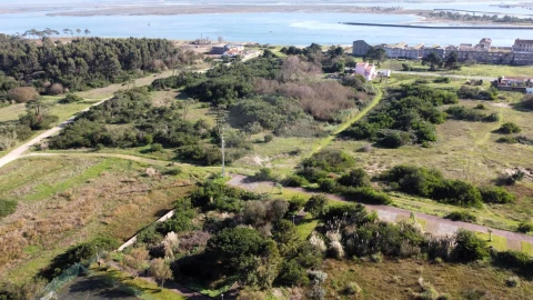 Terreno para Venda em São Jacinto