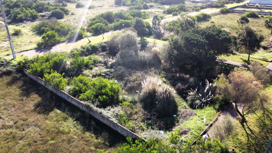 Terreno para Venda em São Jacinto Foto 4