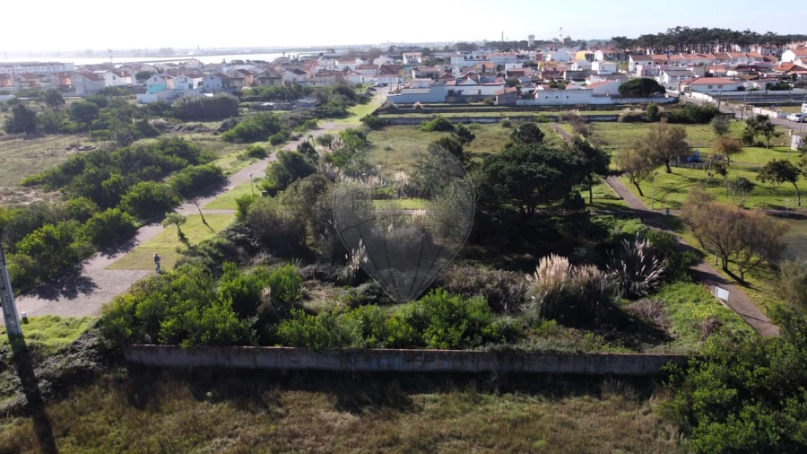 Terreno para Venda em São Jacinto Foto 6