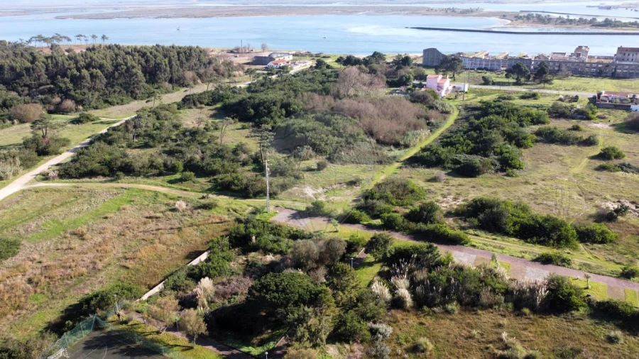 Terreno para Venda em São Jacinto Foto 9