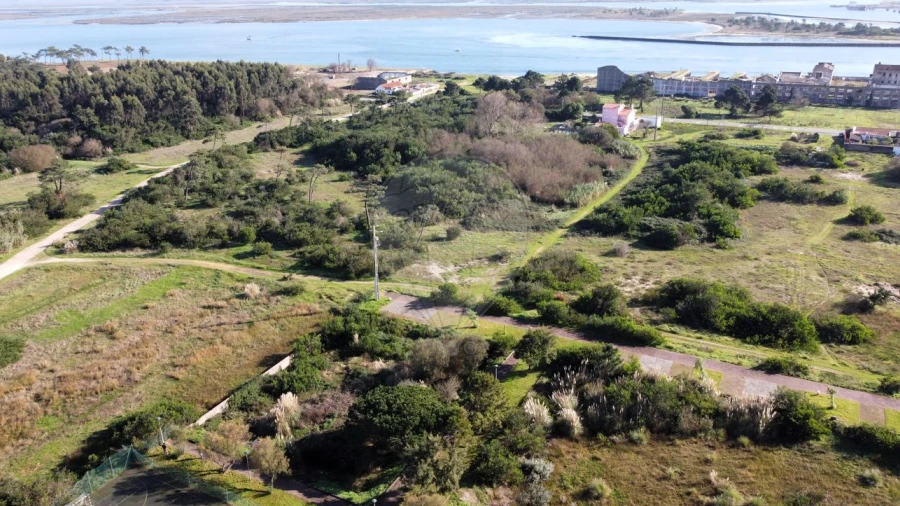 Terreno para Venda em São Jacinto