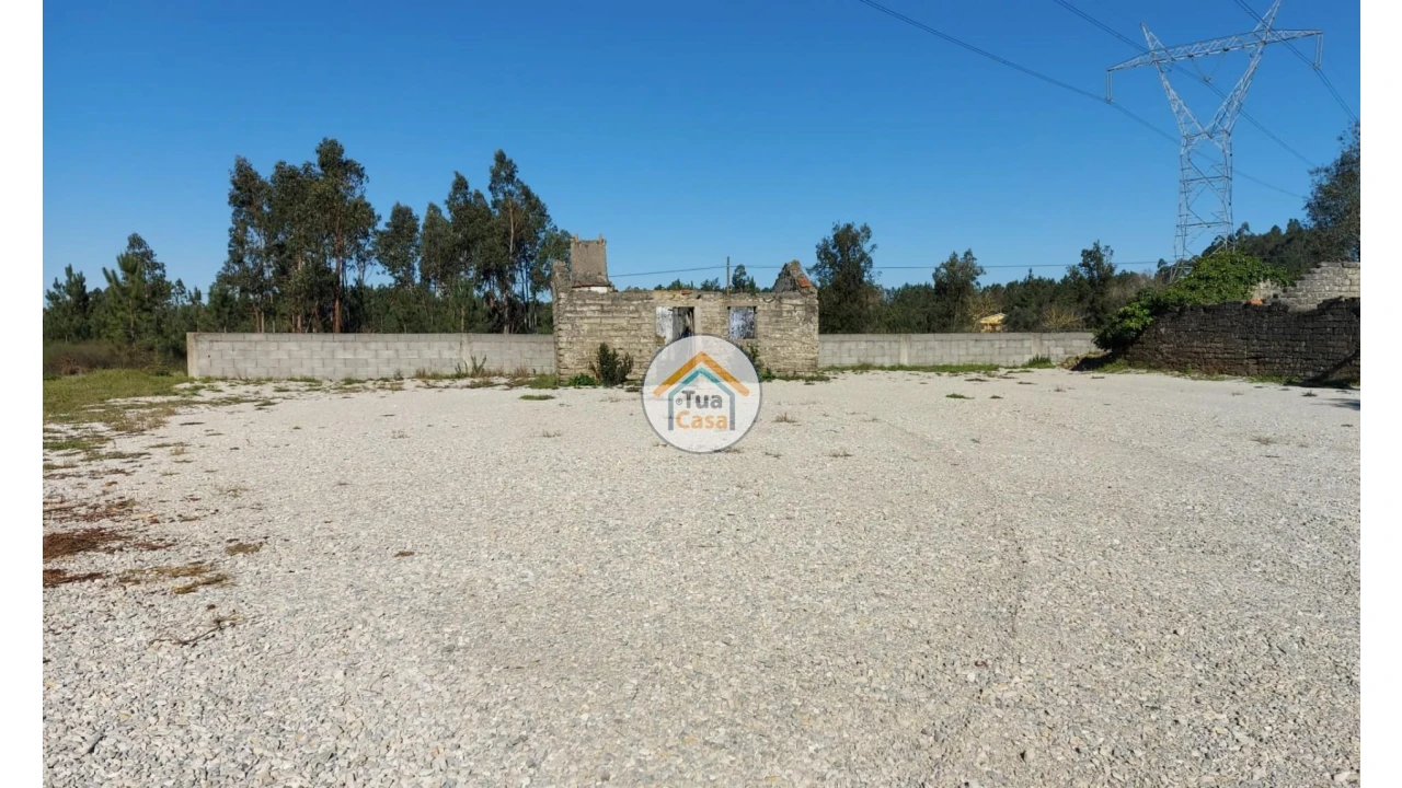 Terreno para Venda em Cadima Foto 11