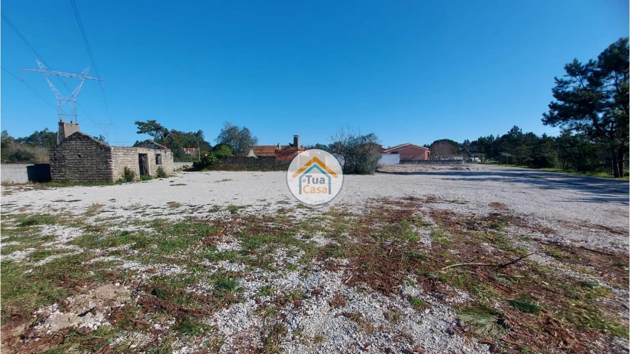 Terreno para Venda em Cadima Foto 8