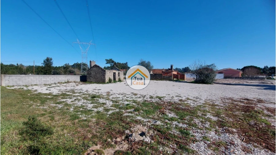 Terreno para Venda em Cadima Foto 9