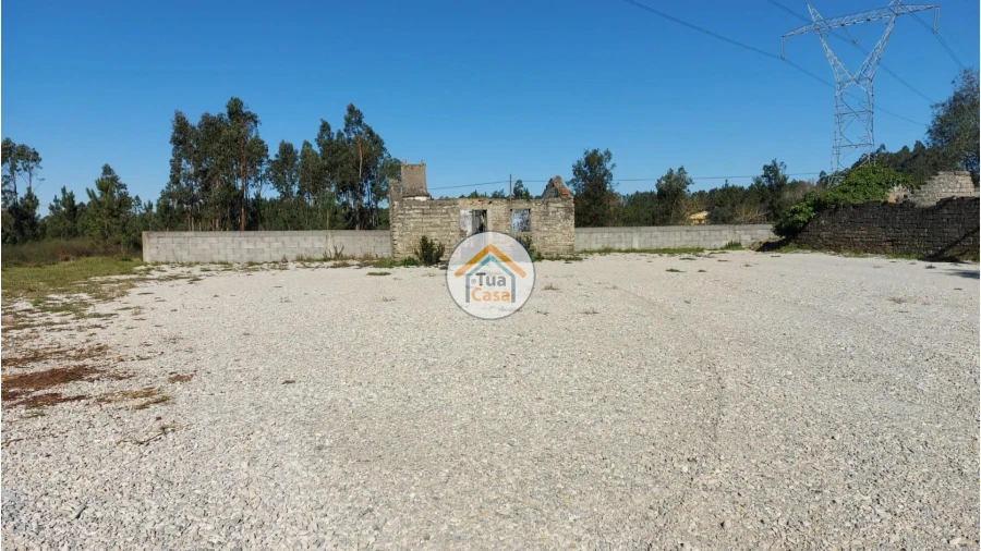 Terreno para Venda em Cadima Foto 2