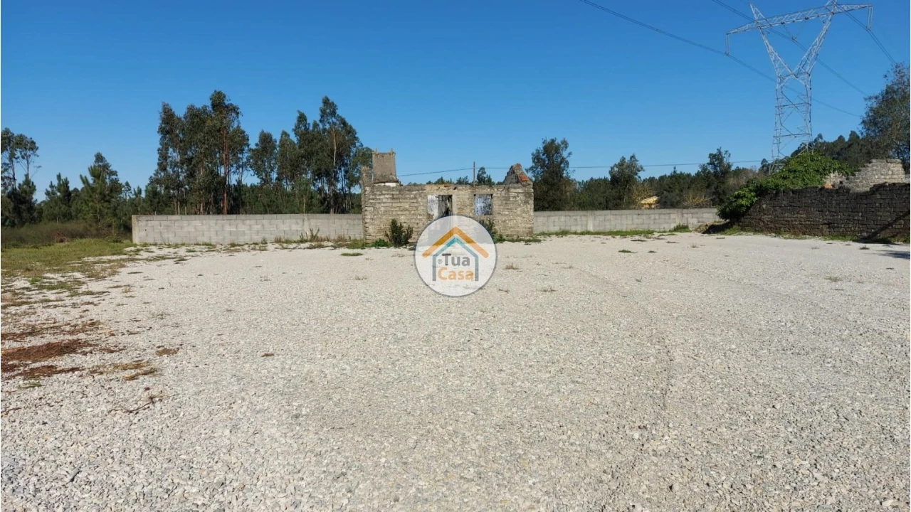 Terreno para Venda em Cadima Foto 2