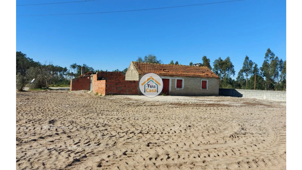 Terreno para Venda em Cadima Foto 15