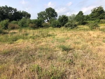 Terreno para Venda em Monção e Troviscoso