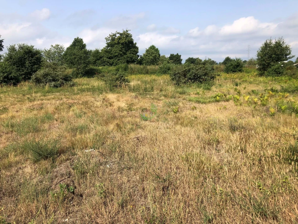 Terreno para Venda em Monção e Troviscoso Foto 4