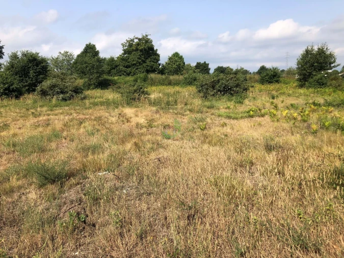 Terreno para Venda em Monção e Troviscoso Foto 4