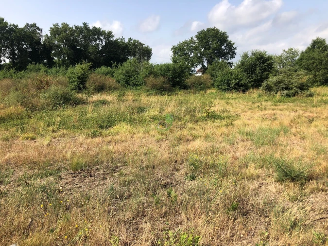 Terreno para Venda em Monção e Troviscoso Foto 6
