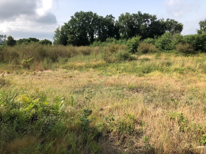 Terreno para Venda em Monção e Troviscoso Foto 2