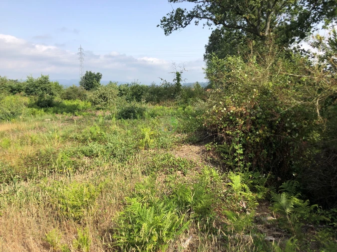 Terreno para Venda em Monção e Troviscoso Foto 5