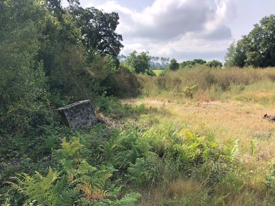 Terreno para Venda em Monção e Troviscoso Foto 1