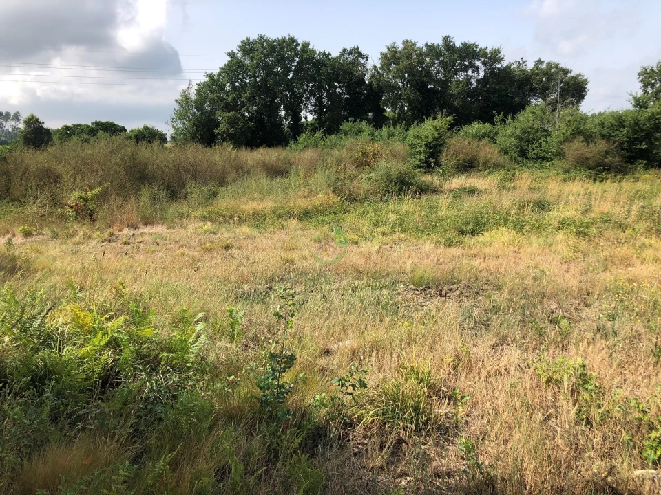 Terreno para Venda em Monção e Troviscoso Foto 2