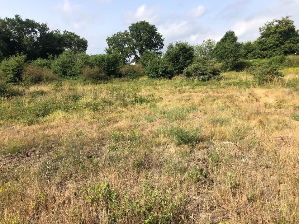 Terreno para Venda em Monção e Troviscoso Foto 3
