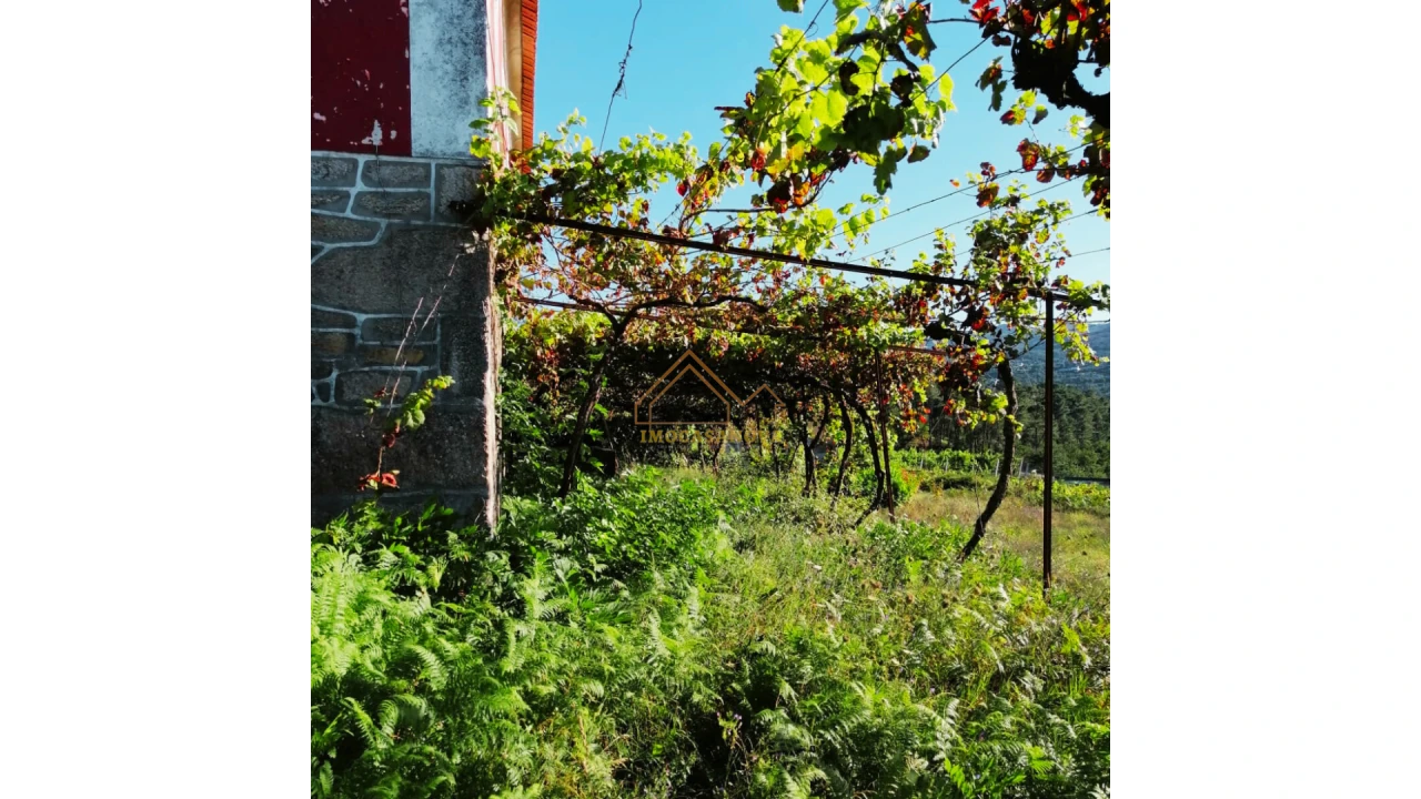 Moradia para Venda em Monção e Troviscoso Foto 2