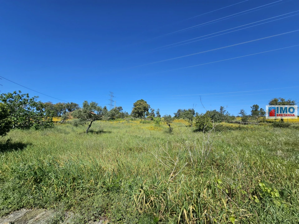Terreno Agricola ou Rústico para Venda em Sarnadas de Rodão Foto 12