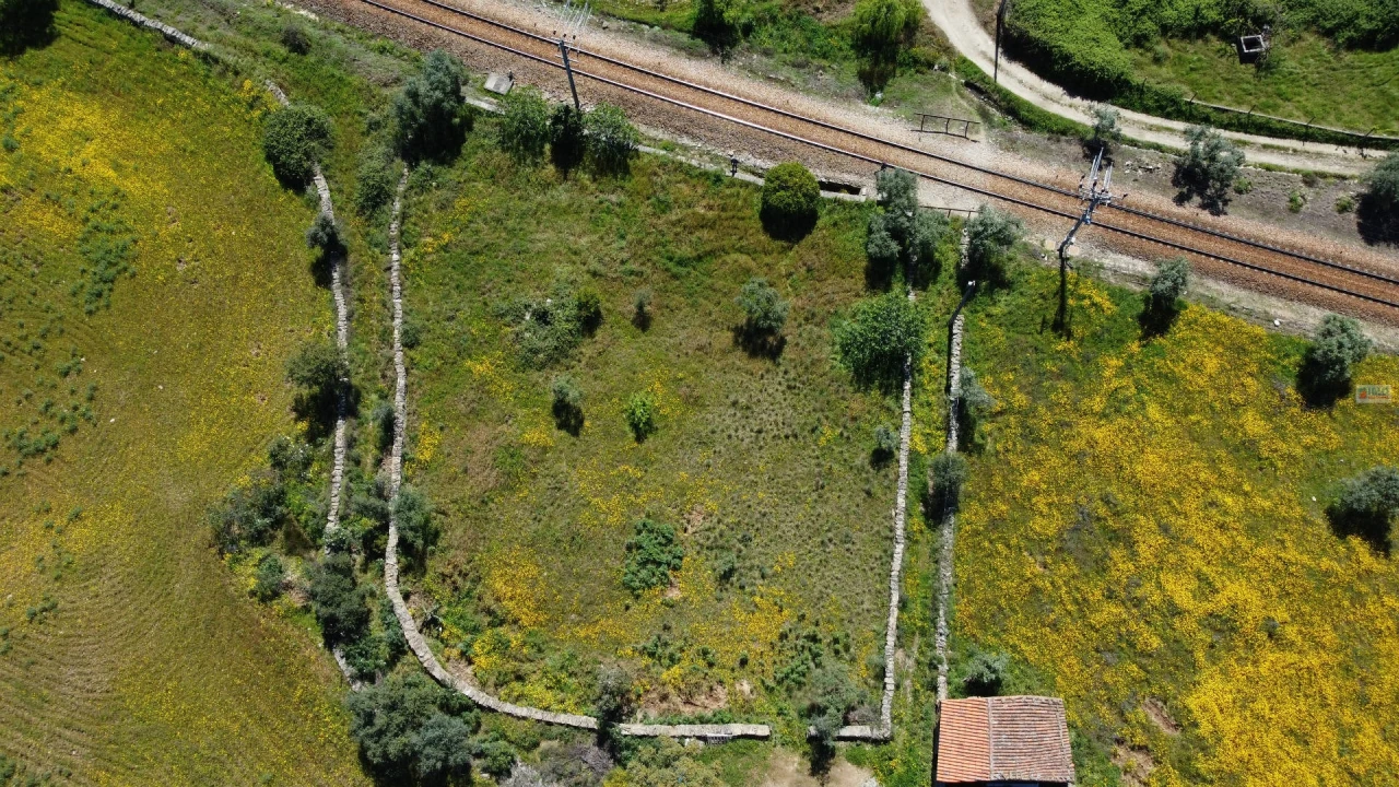 Terreno Agricola ou Rústico para Venda em Sarnadas de Rodão Foto 15