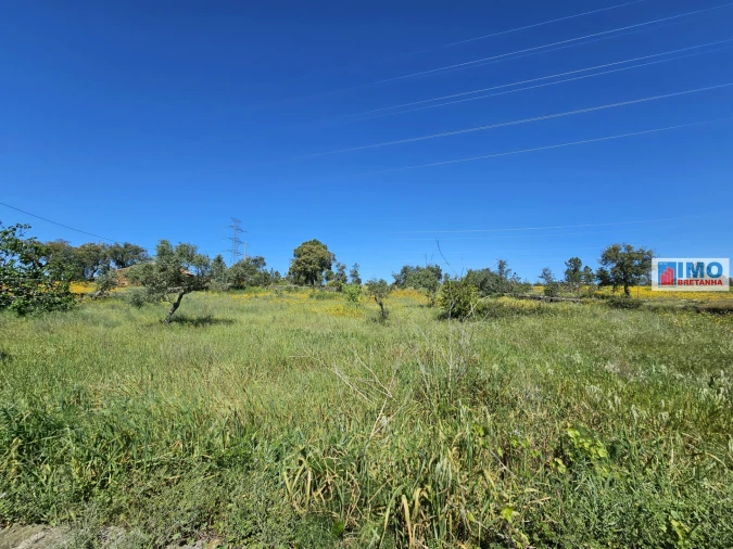 Terreno Agricola ou Rústico para Venda em Sarnadas de Rodão Foto 13