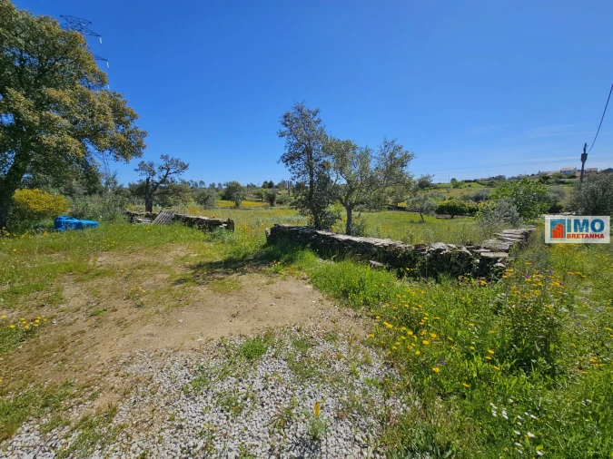Terreno Agricola ou Rústico para Venda em Sarnadas de Rodão Foto 2