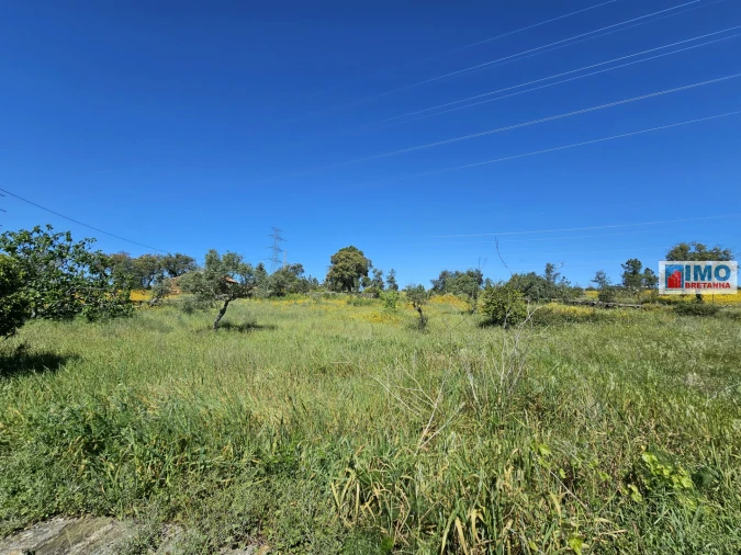 Terreno Agricola ou Rústico para Venda em Sarnadas de Rodão Foto 12